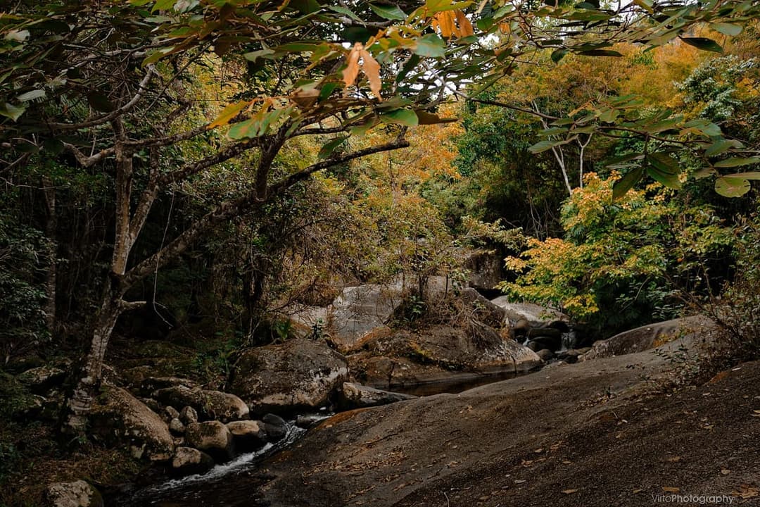Trilha da Água Branca