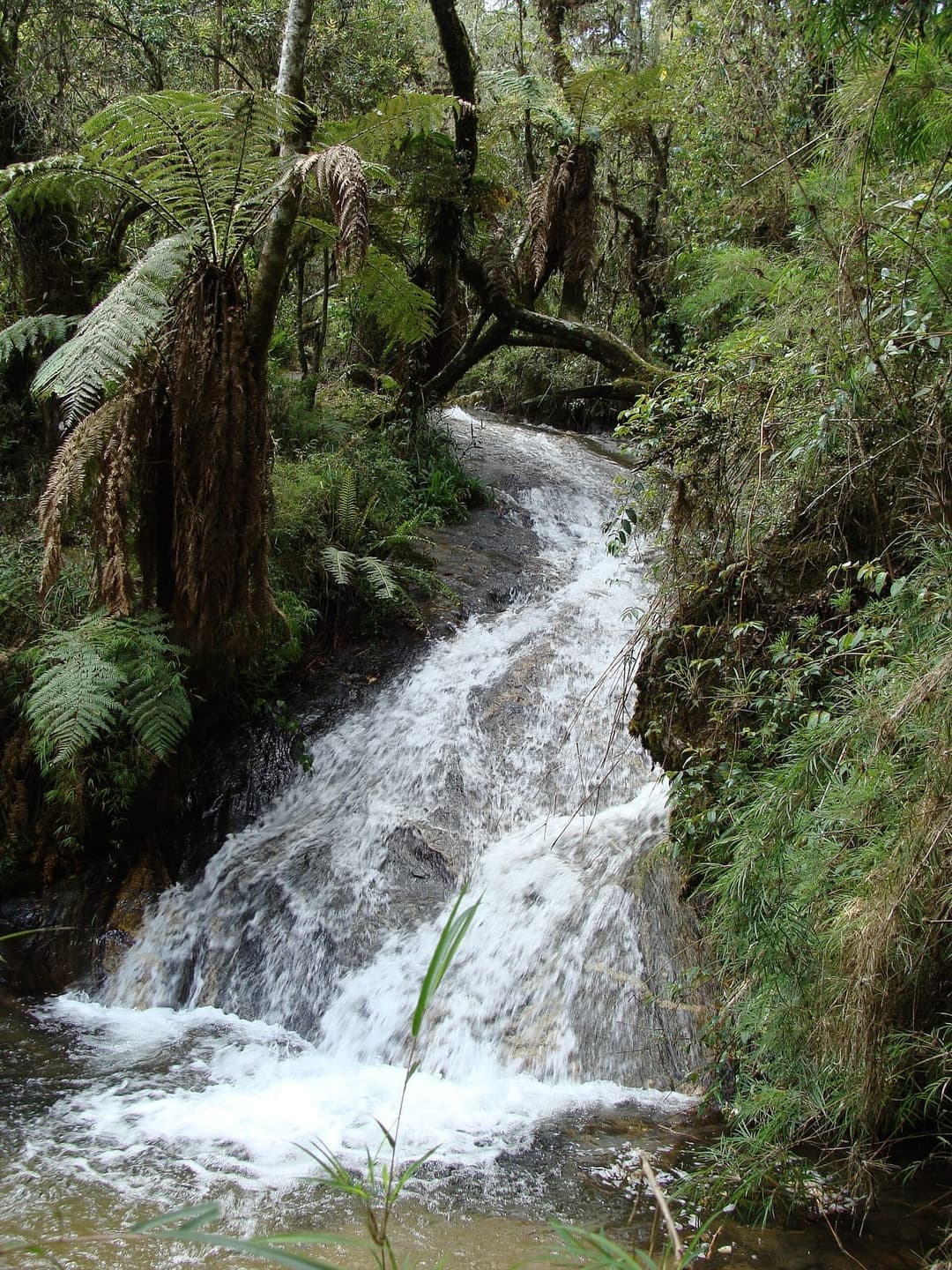 Cachoeira da Galharada — Horto Florestal