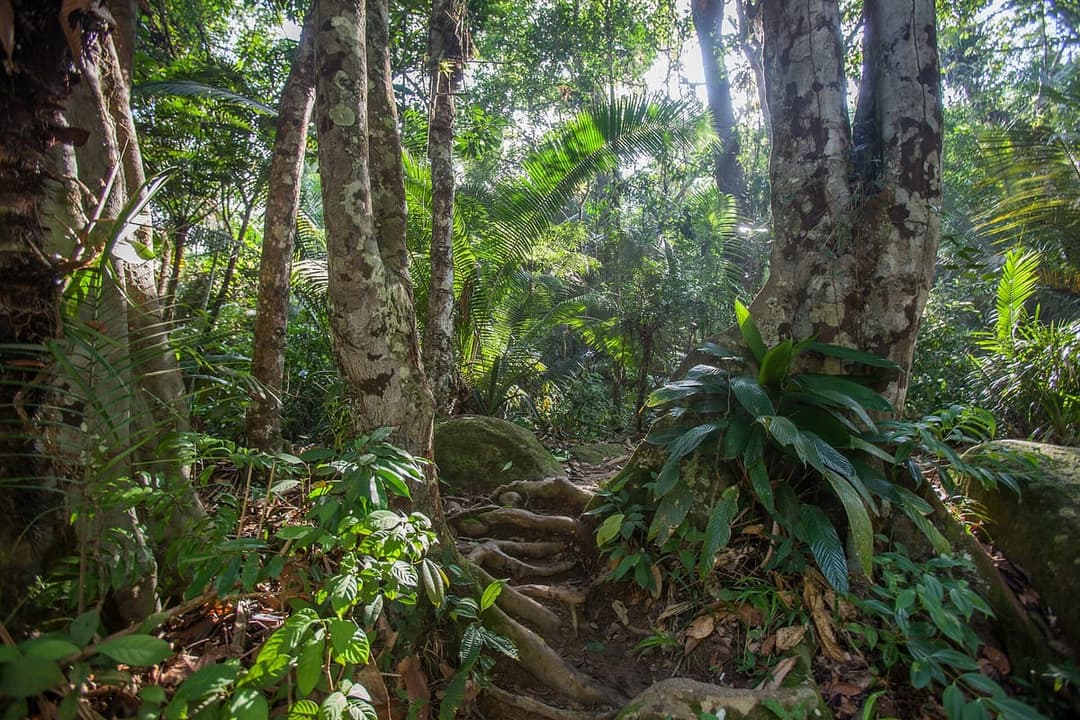 Cachoeira do Prumirim
