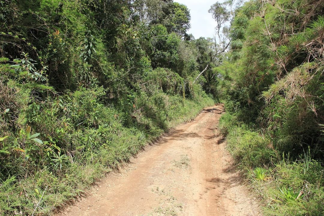 Trilha da Cachoeira — Núcleo Engordador