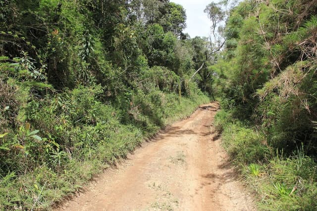 Trilha da Cachoeira — Núcleo Engordador