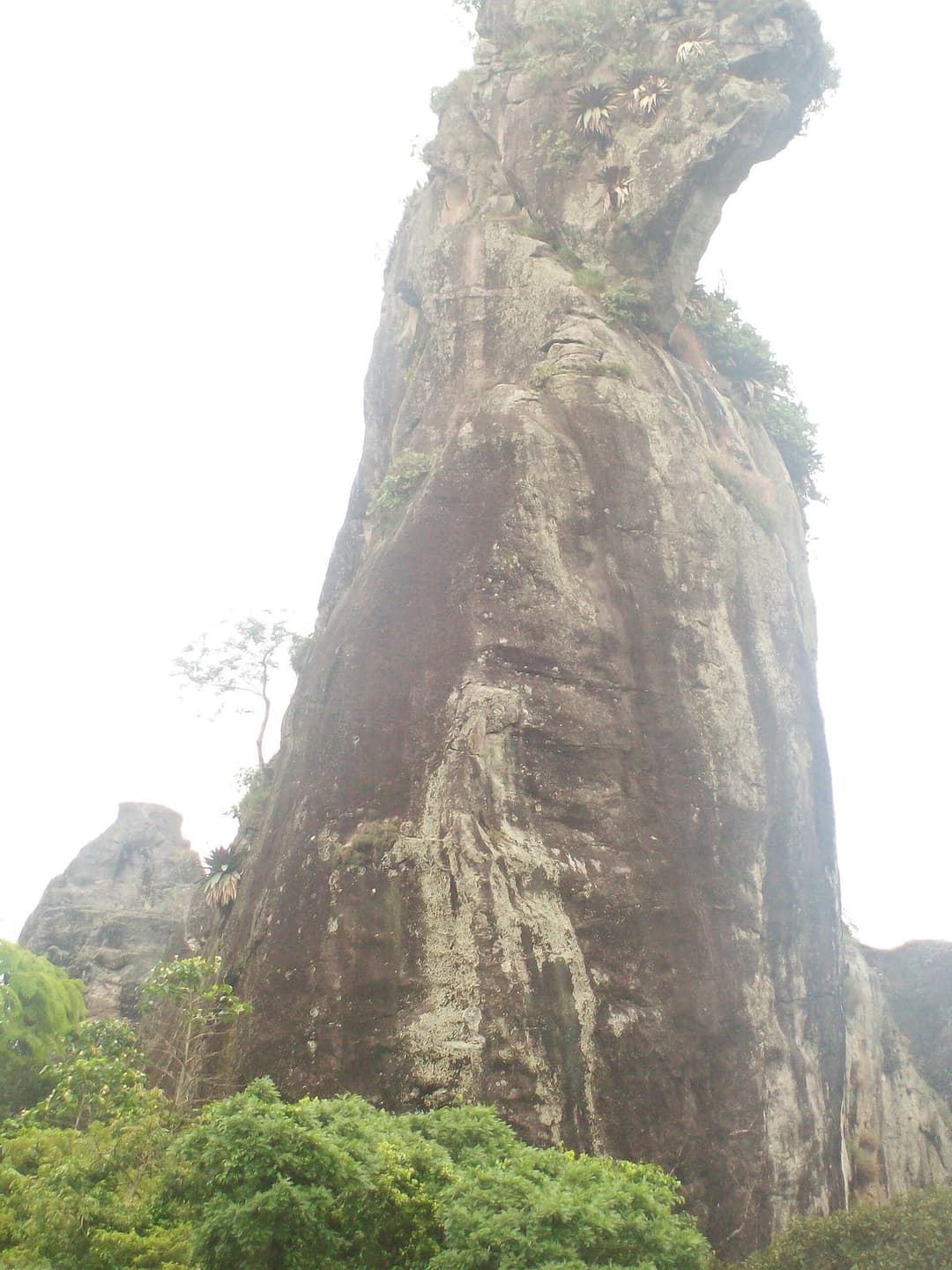 Pedra do Cão Sentado