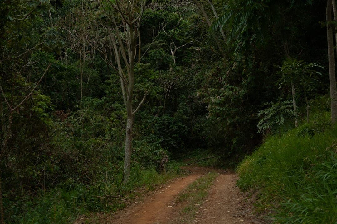Trilha do Cânion da Ronda