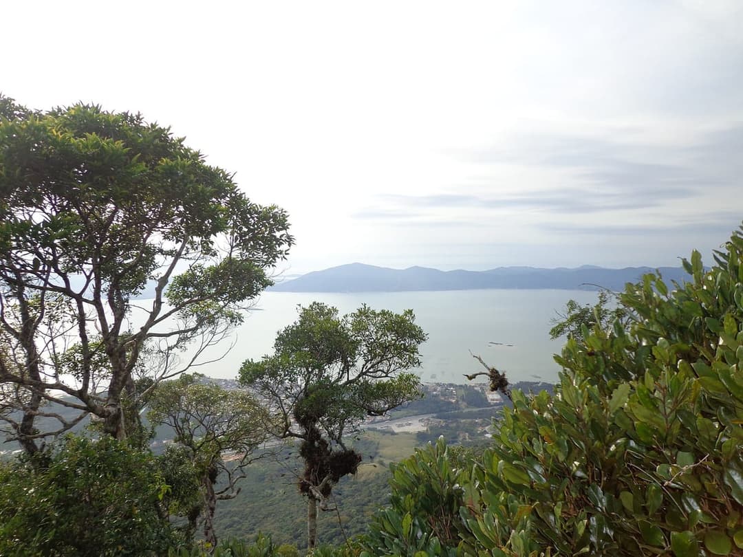 Trilha do Pico da Serra do Tabuleiro