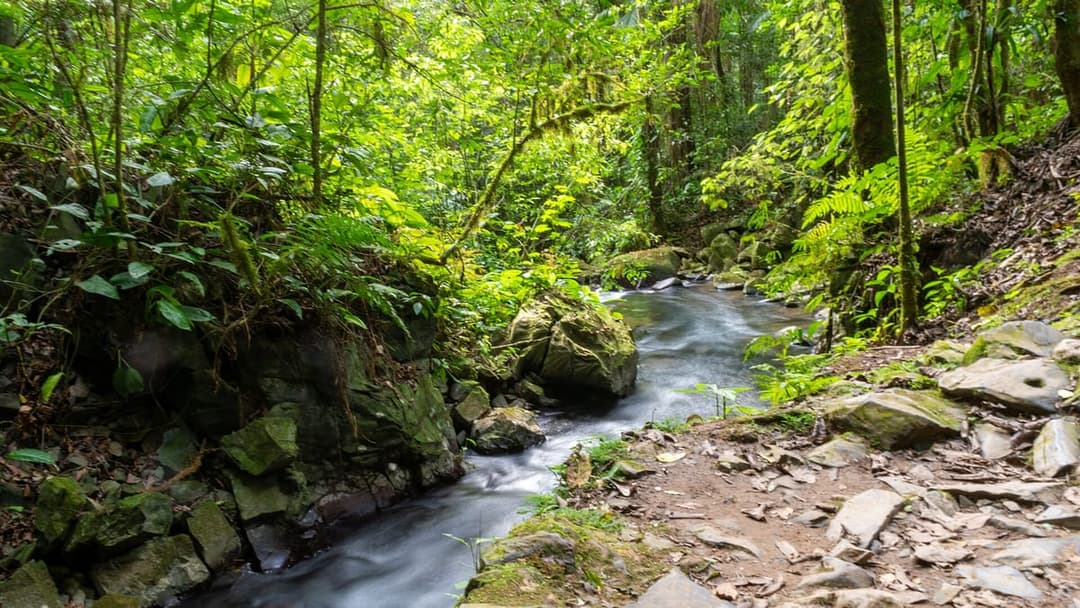 Trilha do Rio Betari